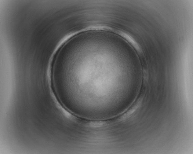 X0000115321046200911091153