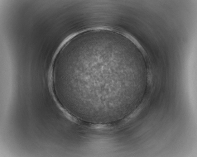 X0000115321048200911091153