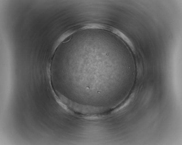 X0000115321049200911091153