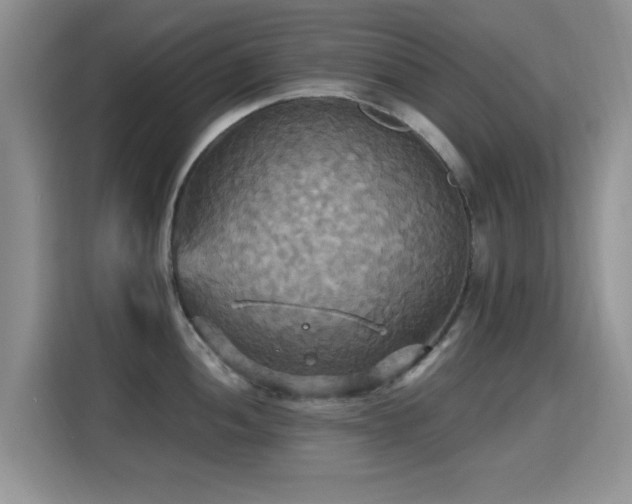 X0000115321052200911091153