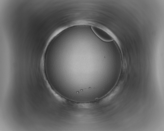 X0000115321053200911091153