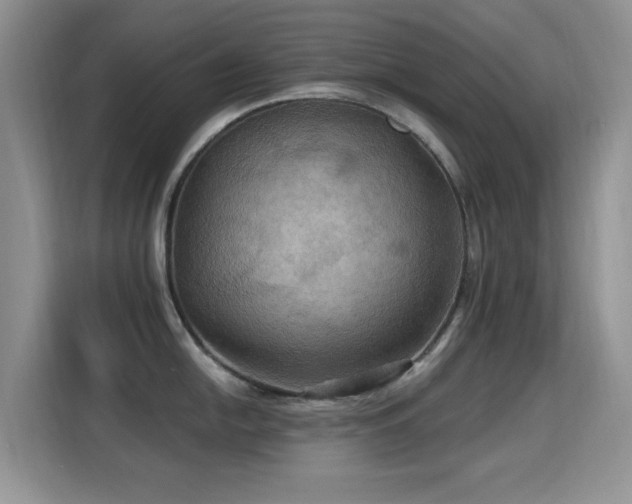 X0000115321054200911091153