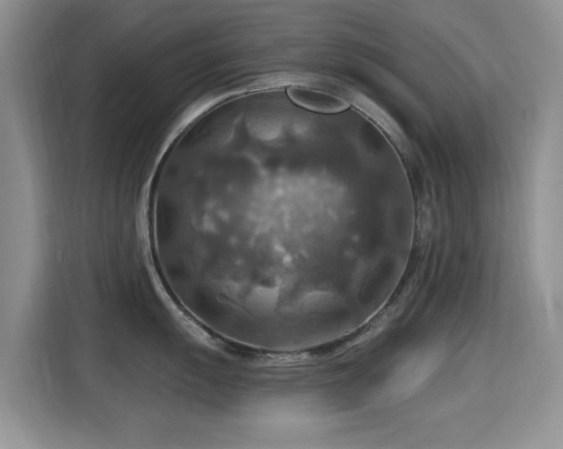 X0000115321055200911091153