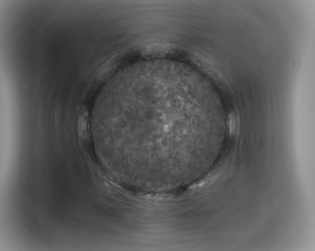 X0000115321059200911091152