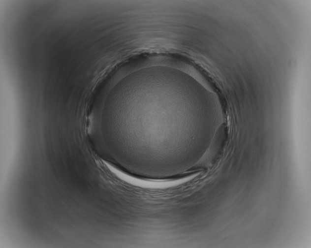 X0000115321060200911091152