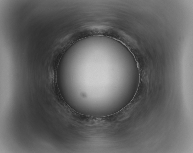 X0000115321061200911091152