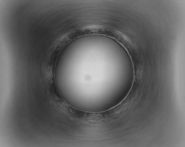 X0000115321062200911091152