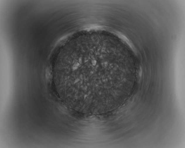 X0000115321063200911091152