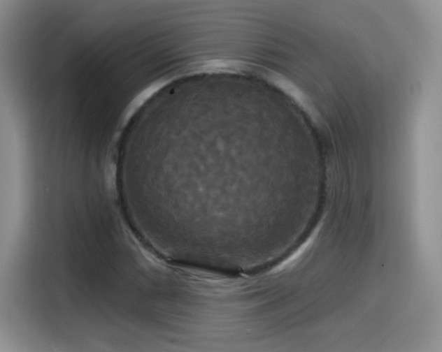 X0000115321066200911091152