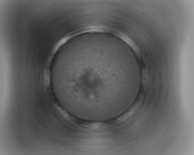 X0000115321067200911091152