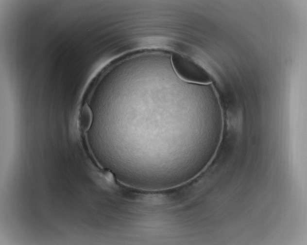 X0000115321068200911091152