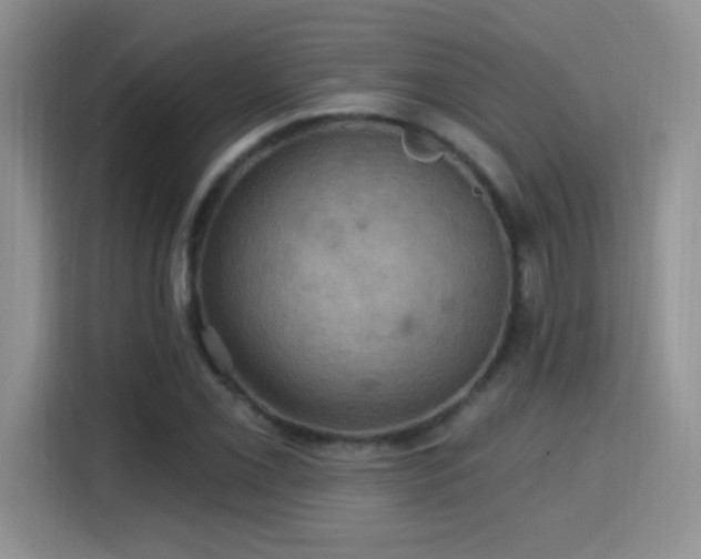 X0000115321069200911091152