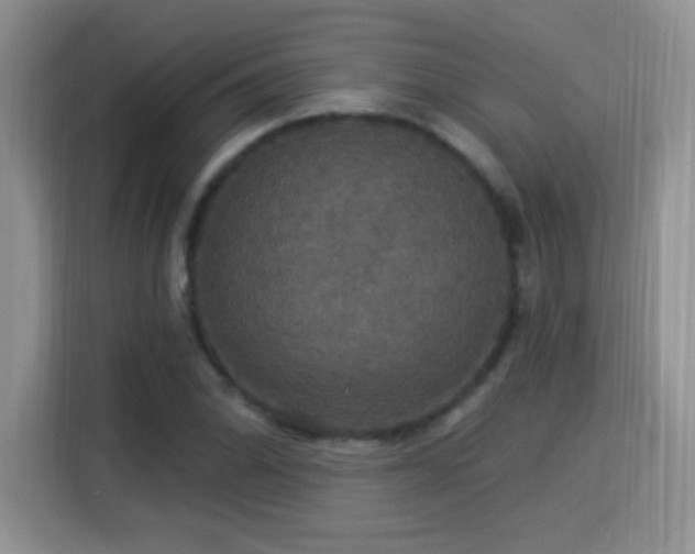 X0000115321070200911091152