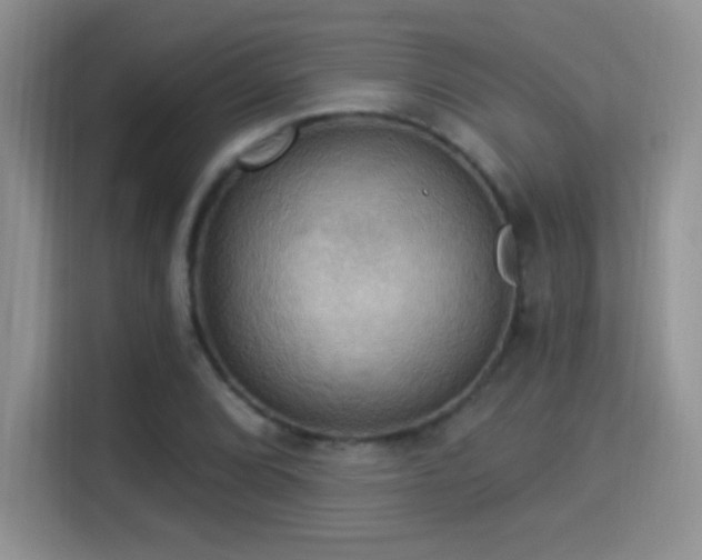 X0000115321072200911091152