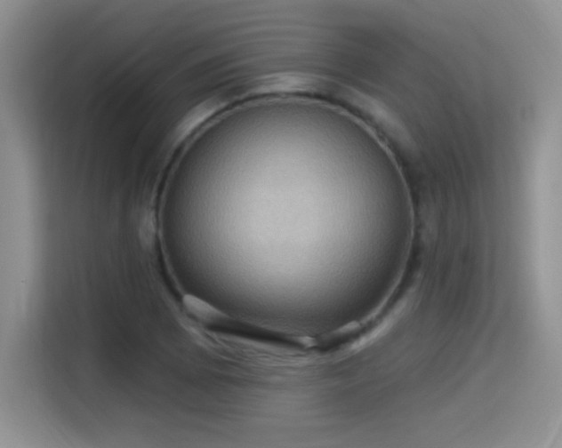 X0000115321073200911091152