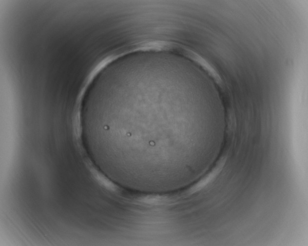 X0000115321075200911091152