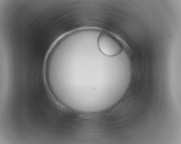 X0000115321076200911091152
