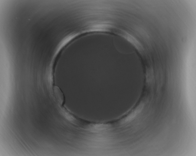 X0000115321077200911091152