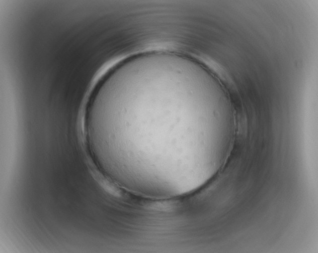 X0000115321078200911091152