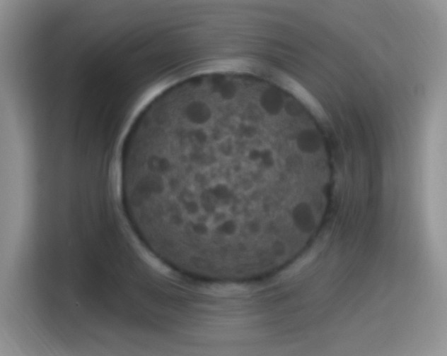 X0000115321079200911091152