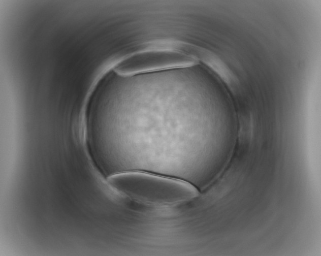 X0000115321080200911091152