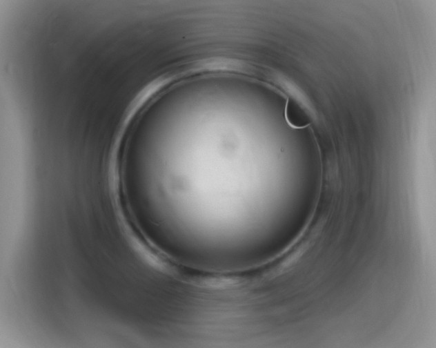 X0000115321082200911091152