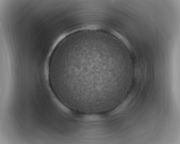 X0000115321083200911091152