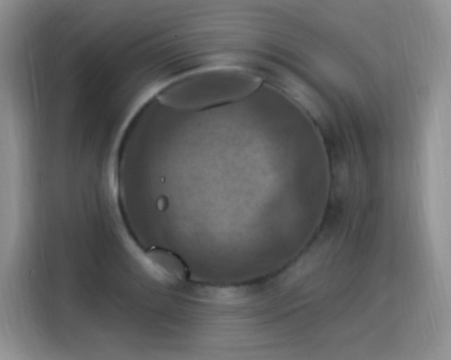 X0000115321084200911091152