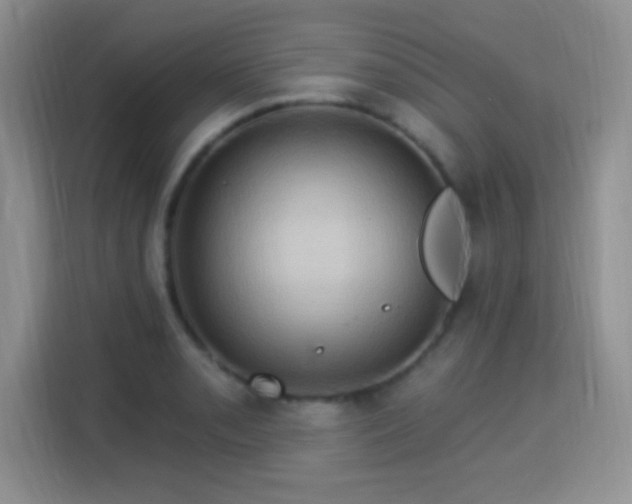 X0000115321085200911091152