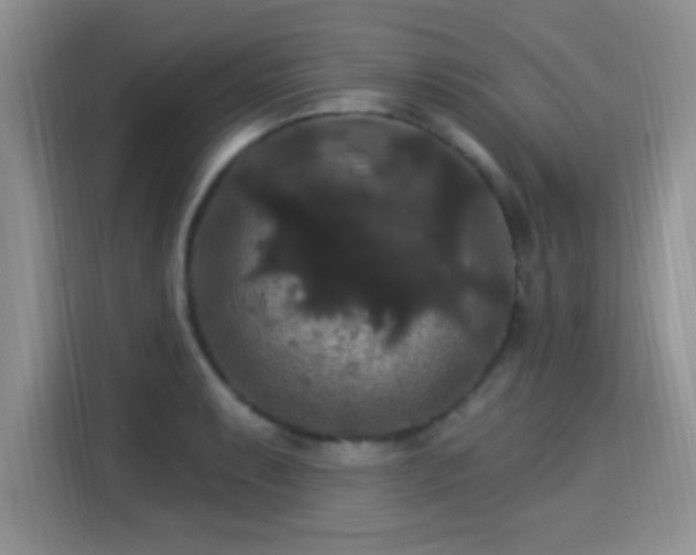 X0000115321087200911091152