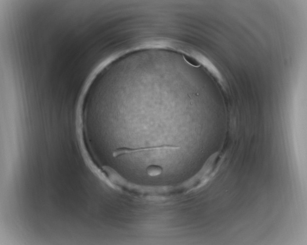 X0000115321088200911091152
