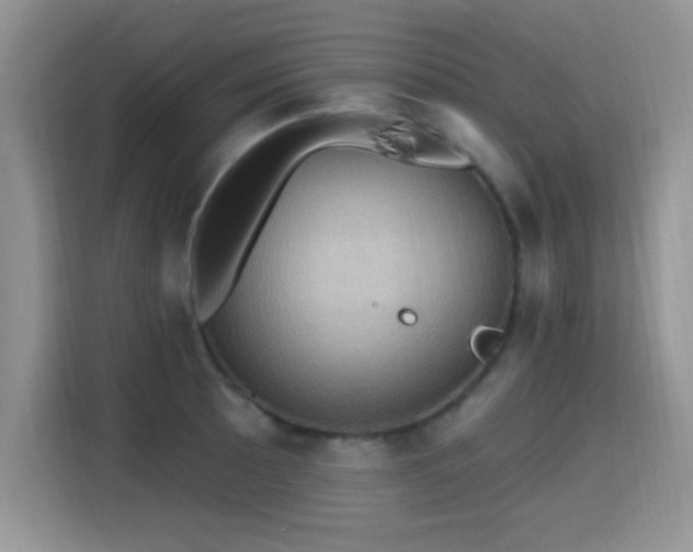 X0000115321089200911091152