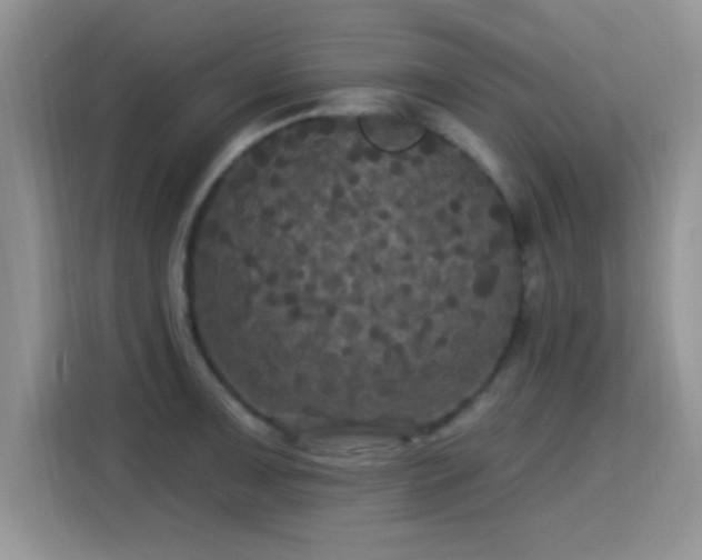 X0000115321091200911091152
