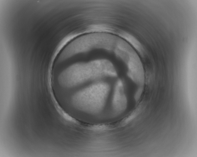 X0000115321094200911091152