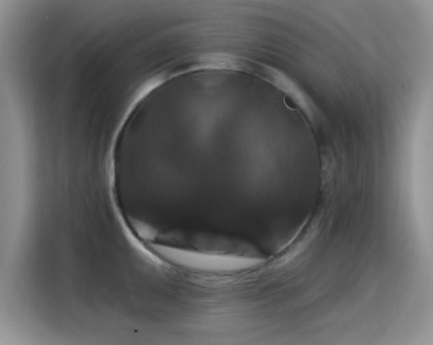 X0000115321095200911091152