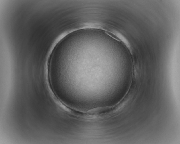 X0000115321096200911091152