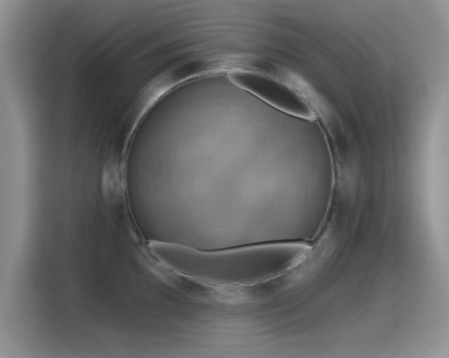 X0000115321097200911091152