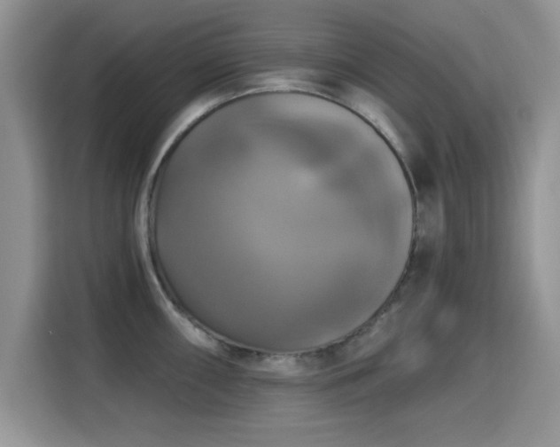 X0000115321098200911091152