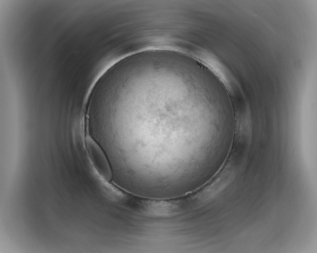 X0000115321100200911091152