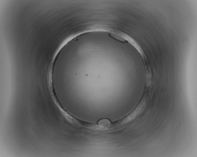 X0000115321101200911091152