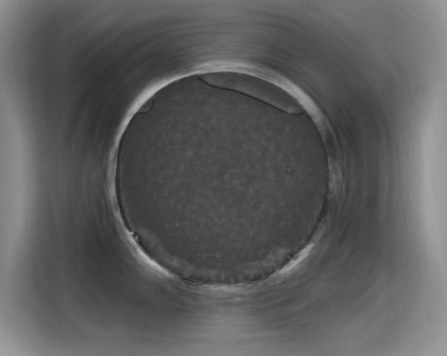 X0000115321102200911091152