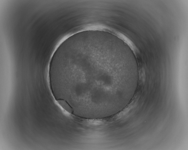 X0000115321103200911091152