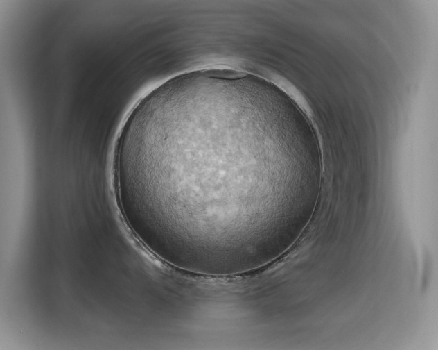 X0000115321104200911091152