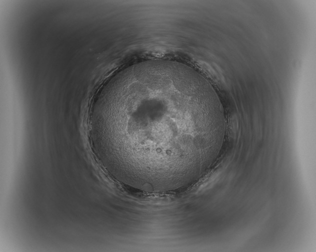 X0000115321105200911091151