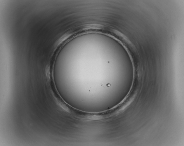 X0000115321113200911091151