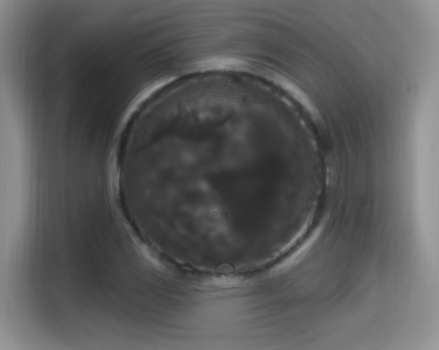 X0000115321117200911091151