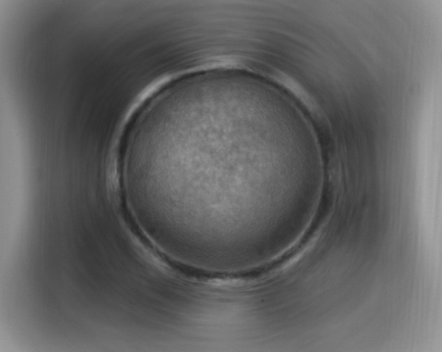 X0000115321118200911091151