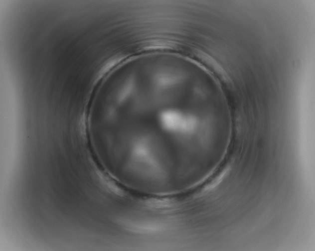 X0000115321121200911091151