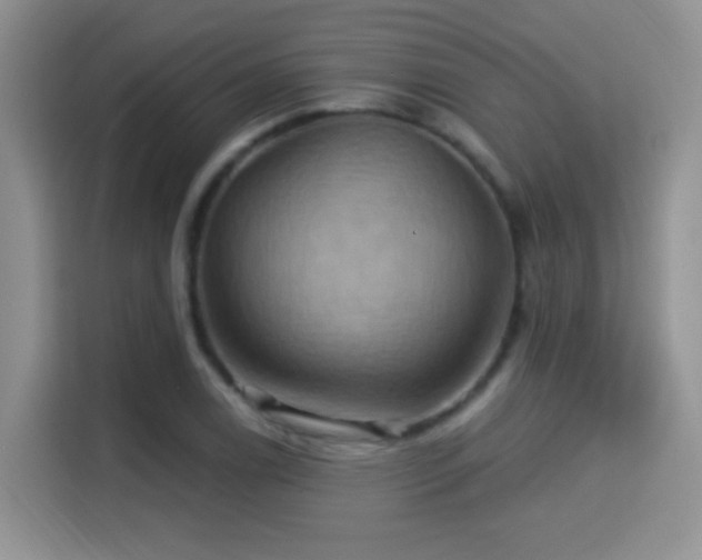 X0000115321122200911091151