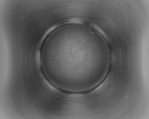 X0000115321123200911091151
